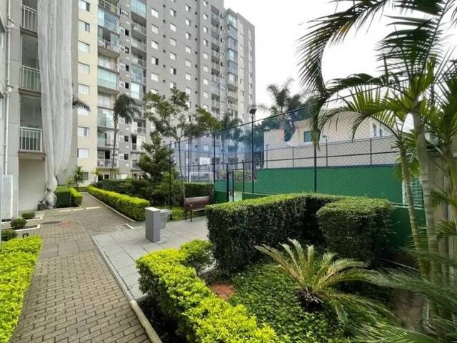 Locação em Vila Antonieta - São Paulo